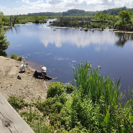 Apartmán Zlota Muszla Podczele *